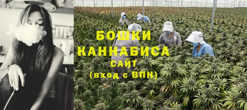 Конопля Bruce Banner  где купить наркоту  Тольятти 